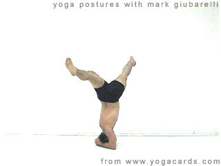 sirsasana - headstand