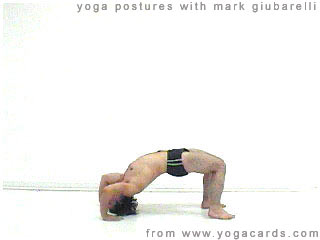 yoga poses