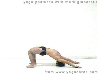 yoga poses