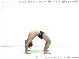 yoga poses