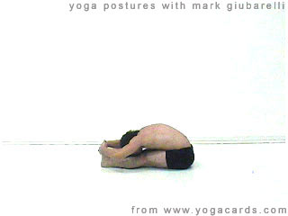 yoga poses