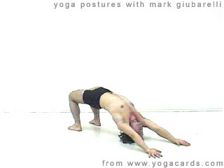 yoga poses