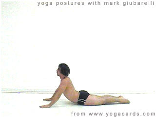 yoga poses