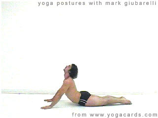 yoga poses
