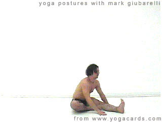 janu srisasana