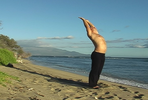 learn yoga free