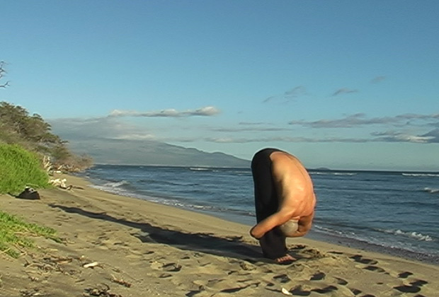 the art of yoga