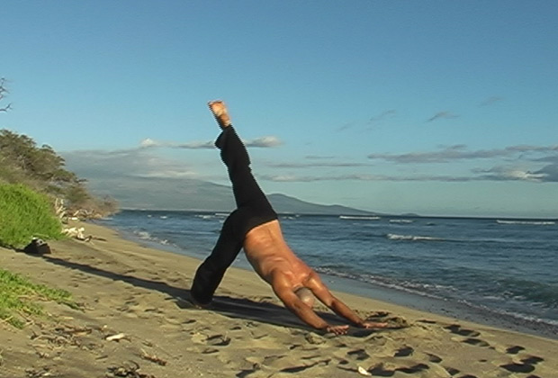 learn yoga vinyasa