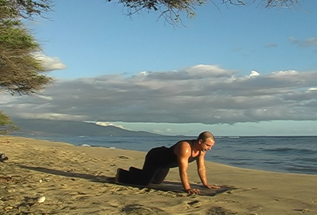 about yoga flow