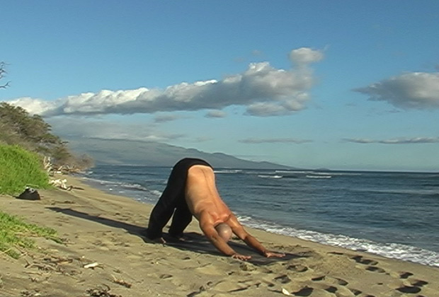 basic yoga flow