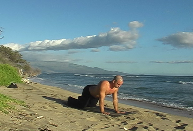 Vinyaa yoga flow