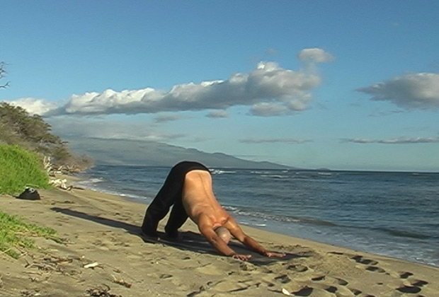 about yog aposes in a flow