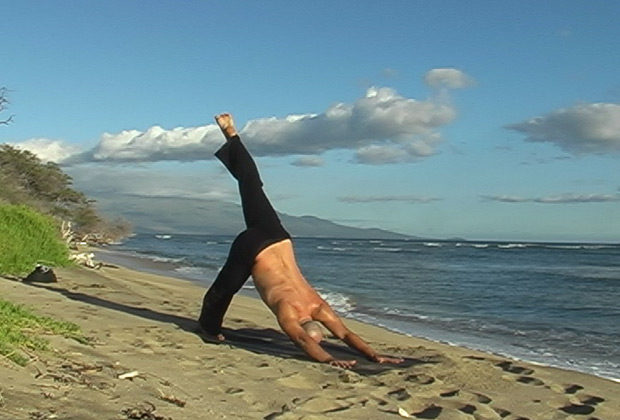 learn sun salutation variations