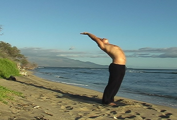 learn Sun Salutations 