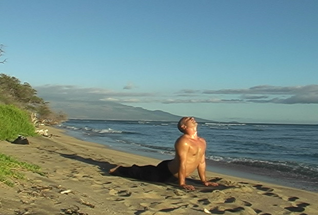 vinyasa flow yoga