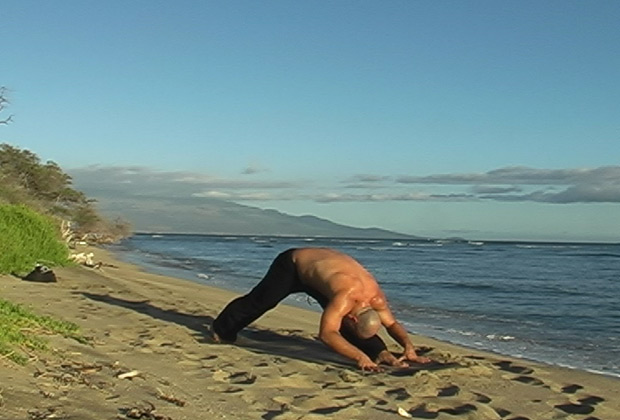 yoga postures