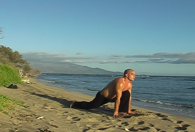 flowing flow vinyasa yoga poses