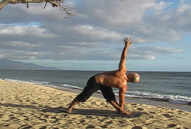learn to flow vinyasa style