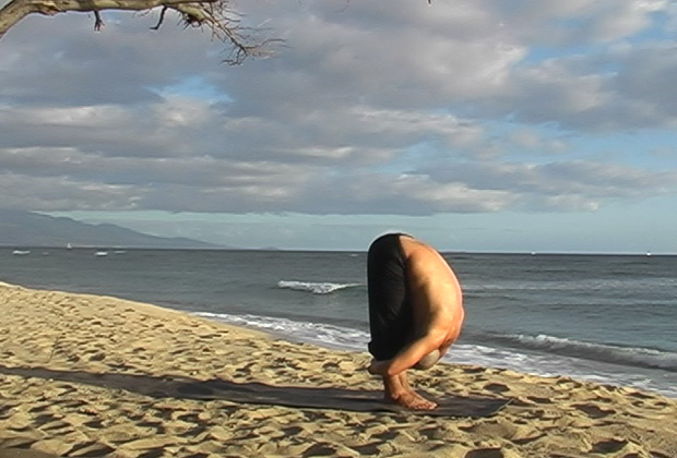 vinyasa flow