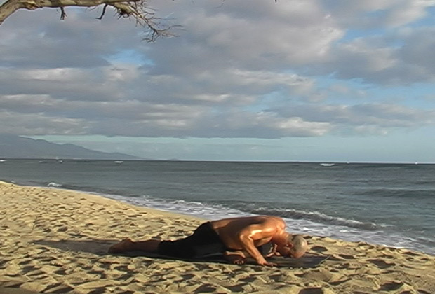 sun salutation