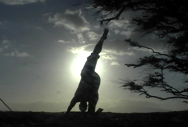yoga flow