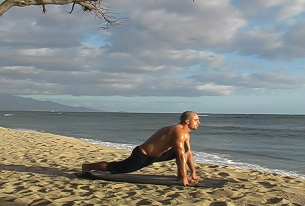 vinyasa flow yoga