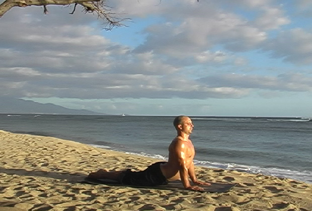 vinyasa yoga