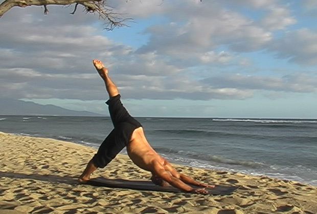 vinyasa flow