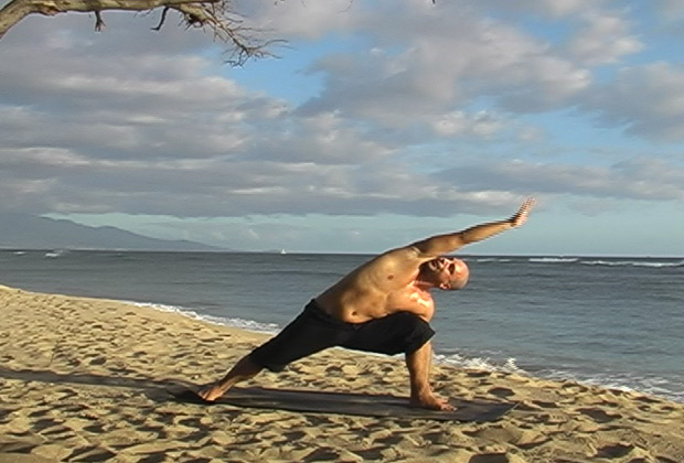 vinyas yoga flow