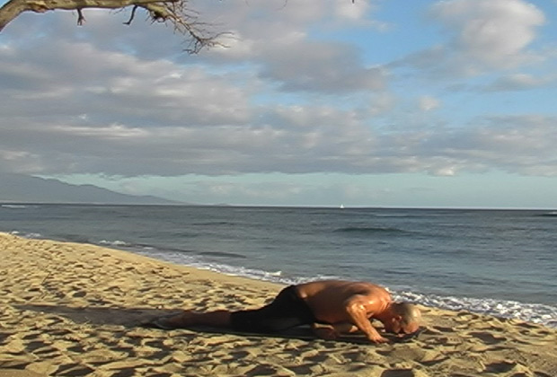 about sun salutation