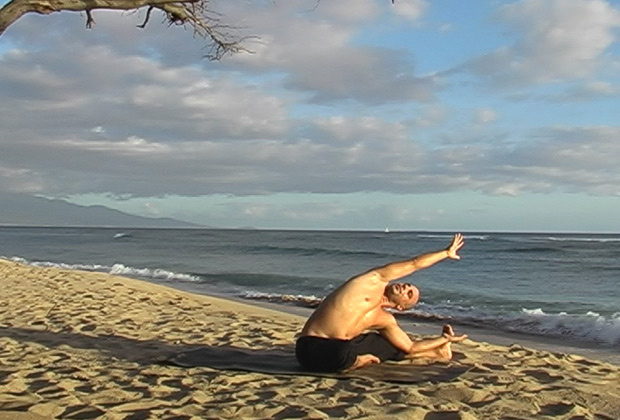 asana 