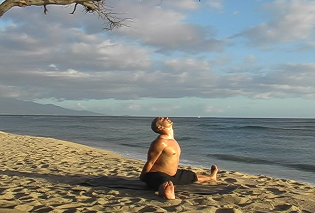 learn yogaq flow