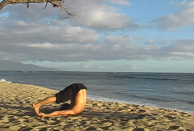 exercise video flow