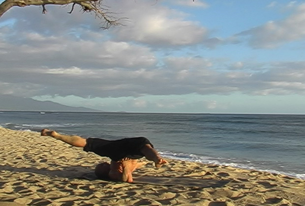 vieo of vinyasa