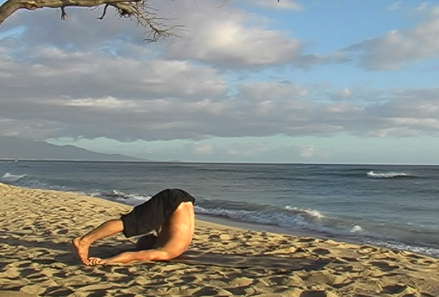 sun salutation video