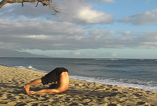 beginner yoga flow