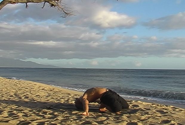 learn yoga positions