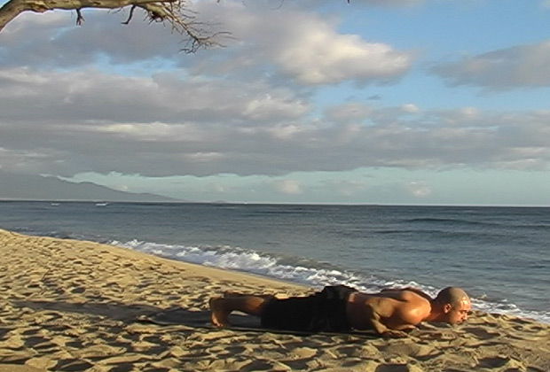 vinyasa flow