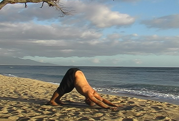 vinyasa 