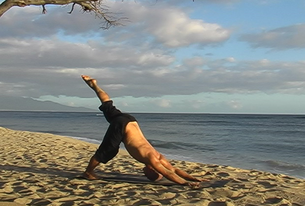 vinyasa yoga