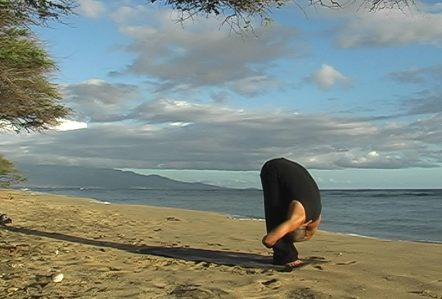 Sun Salutations