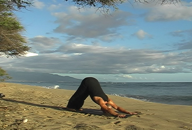 yoga poses