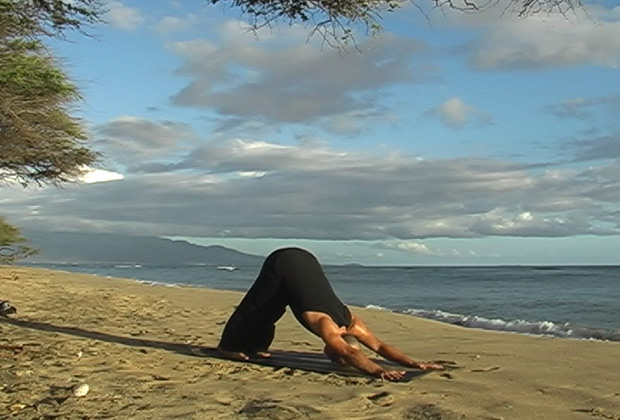 learn yoga free