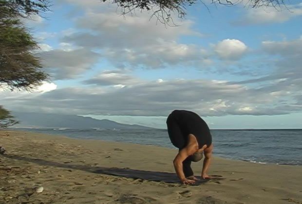 tree posture
