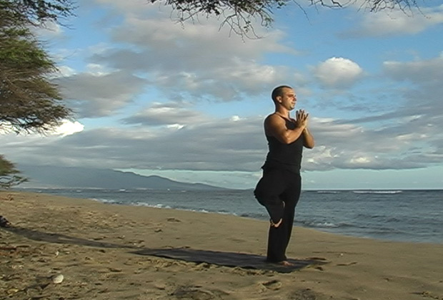 vinyasa yoga flow