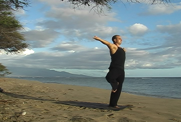 flowing vinyasa 