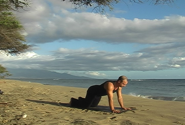 about yoga flow