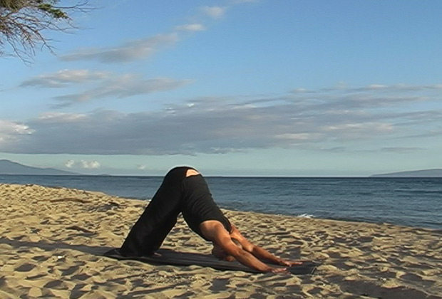 about vinyasa yoga