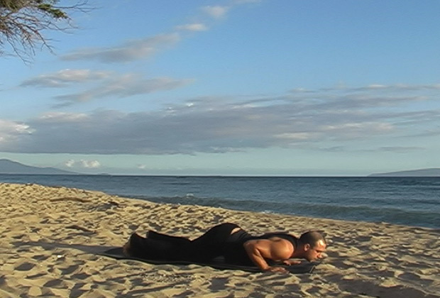 postures in a sun salutation