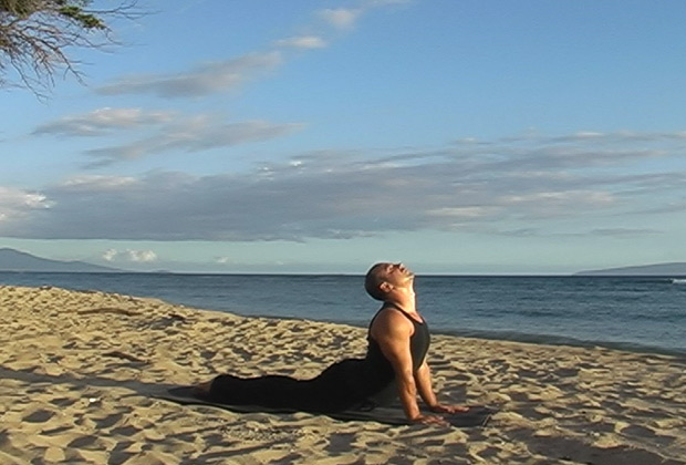 yoga vinyasa flow